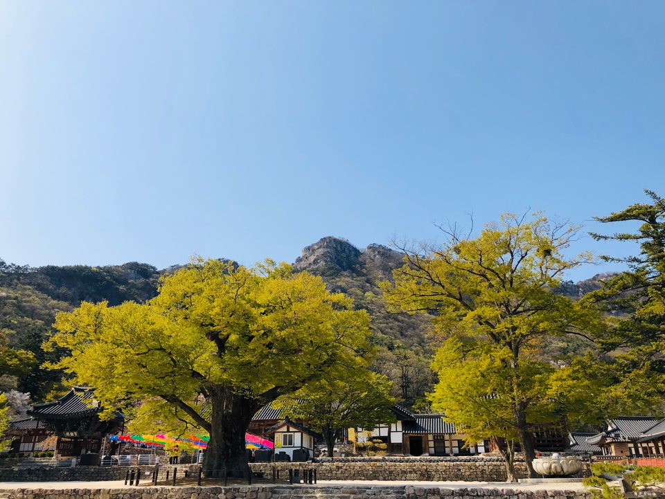 전주 워크샵 이미지